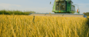 White House Farms Customer Testimonial Video 1