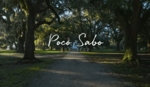 Poco Sabo Plantation | Holcombe Fair & Lane