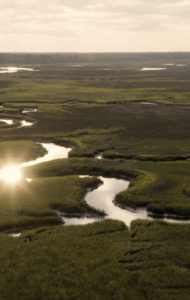 Gregorie Neck Plantation | 30s Teaser Cutdown | Holcombe, Fair & Lane