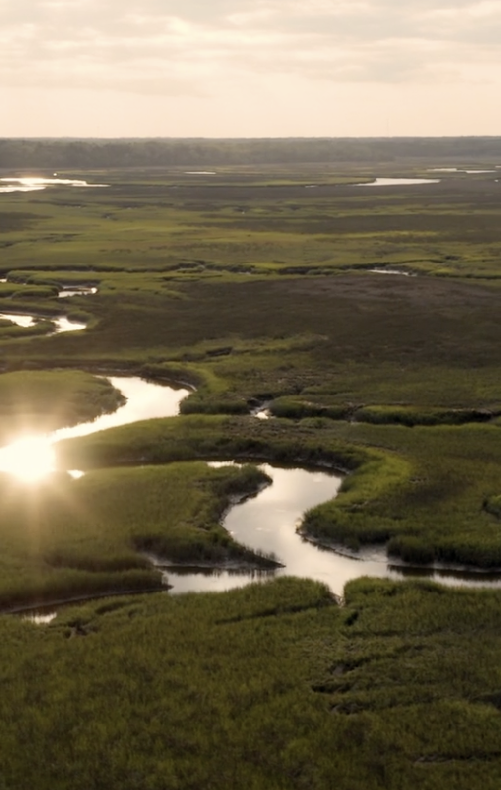 Gregorie Neck Plantation | 30s Teaser Cutdown