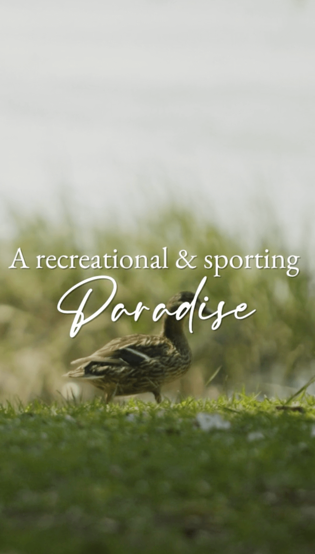 Gregorie Neck | A Recreational & Sporting Paradise