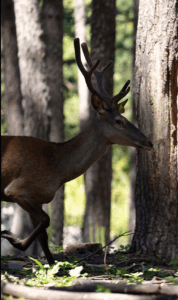 Gregorie Neck | Activities Feature | Holcombe, Fair & Lane