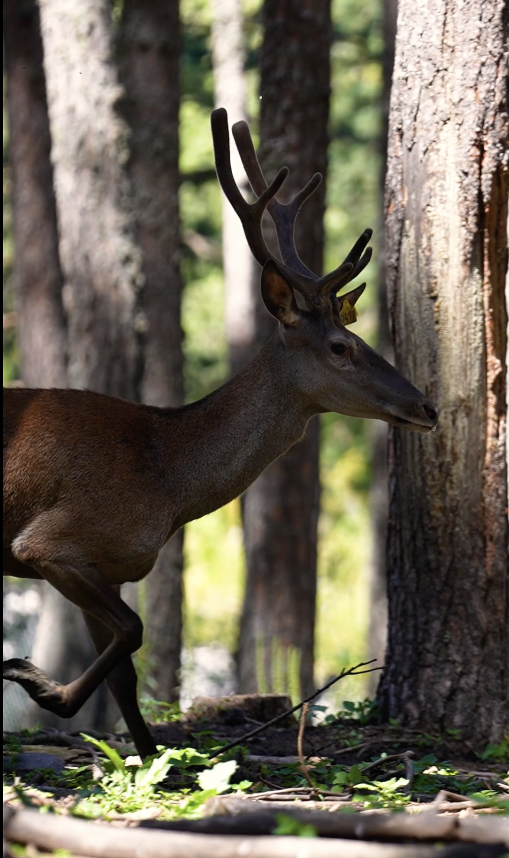 Gregorie Neck | 15s Activities